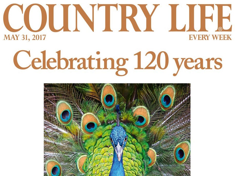 Country Life celebrates 120th anniversary with bumper issue as editor says 'we won't be bossed by modernisers'