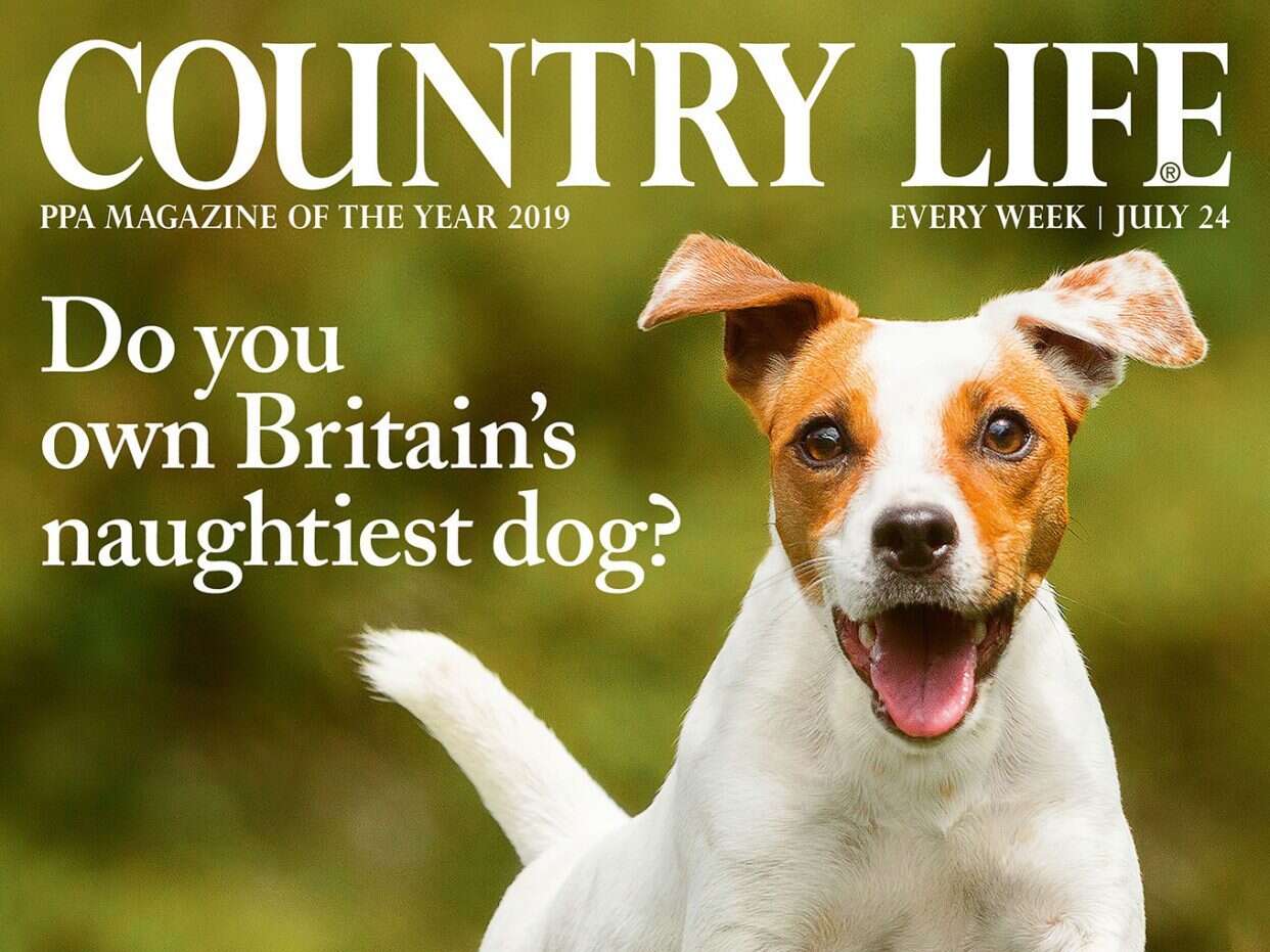 Country Life swaps plastic wrapping for paper on copies delivered to subscribers