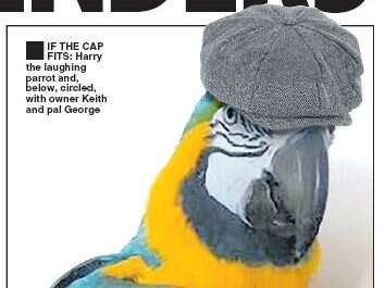 Photoshopping flat cap on parrot not breach of code, says IPSO