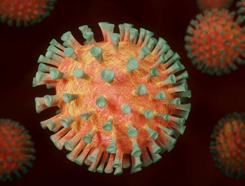 coronavirus