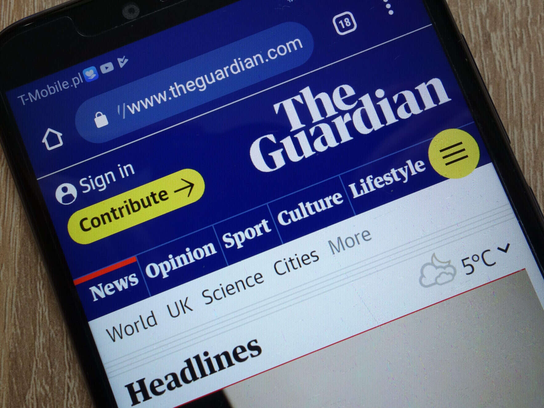 The Guardian website