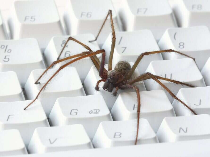 Web crawler: A spider on white computer keyboard