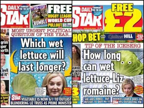 Liz Truss calls Daily Star's Lizzy Lettuce stunt 'puerile' and unfunny