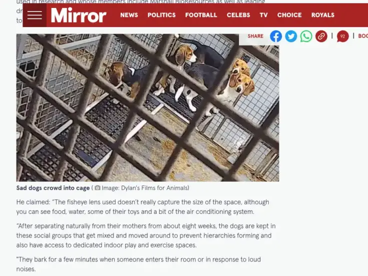 Pro-animal testing group wins IPSO complaint against Mirror