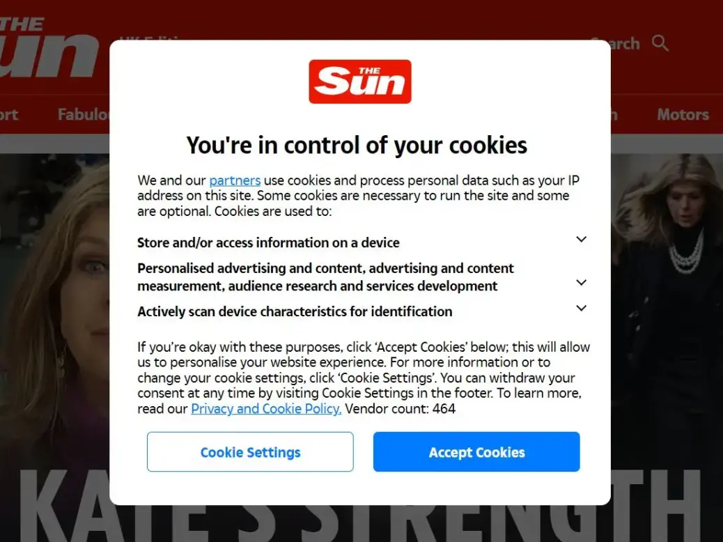 Cookies pop-up on thesun.co.uk as ICO issues data privacy warning