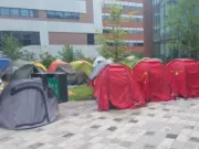 About 17 tents outside a university building (as part of Palestine protest - subject of letter to Sheffield Star)