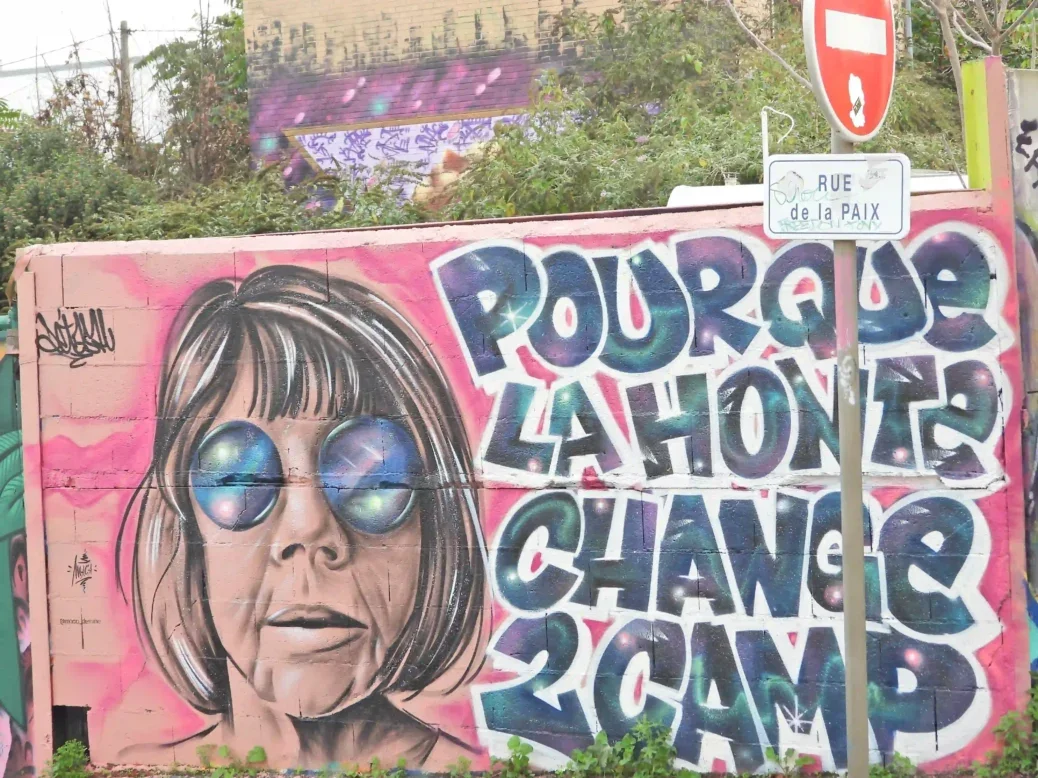 A mural by artist Maca painted in Paris in tribute to Gisele Pelicot. Pelicot is depicted wearing shades and looking at the viewer, alongside the text "Pour que la honte change de camp", or "for the shame to change sides", a quote from Pelicot's attorney.