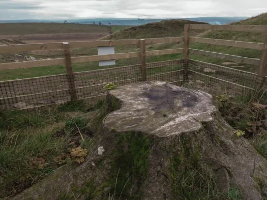 The stump of the famous Sycamore Gap tree.