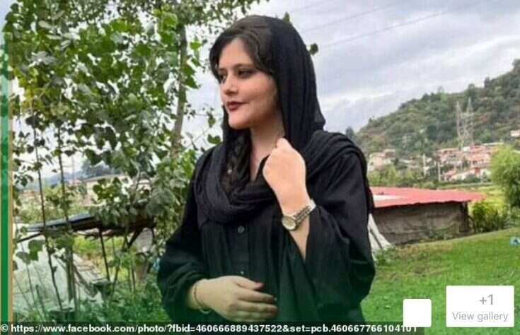 Agency faces  '£100,000' legal costs from Mail and Telegraph over £200 pictures claim