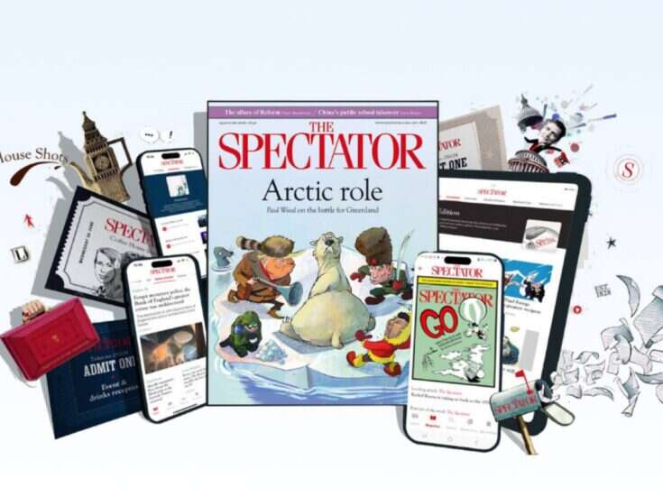 Spectator made £6.6m loss in year Paul Marshall paid £100m for title