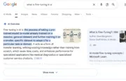 Google AI Overview answer to 'what is fine-tuning in ai' query. Top cited result is an IBM link