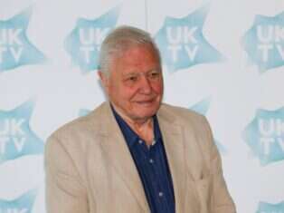 News diary 4-10 May: Met Gala, David Attenborough turns 100, and the Baftas