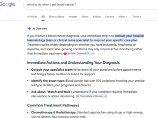 Charity websites hit by rollout of Google AI answers