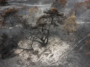 Two-thirds of audiences want climate change story as part of extreme weather reporting