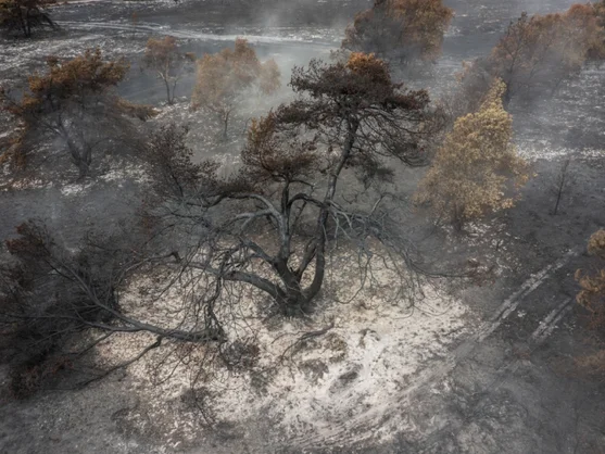 Two-thirds of audiences want climate change story as part of extreme weather reporting