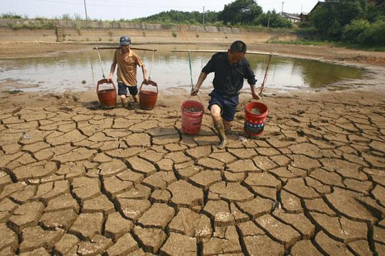 Cash prize offered for environmental journalist of the year